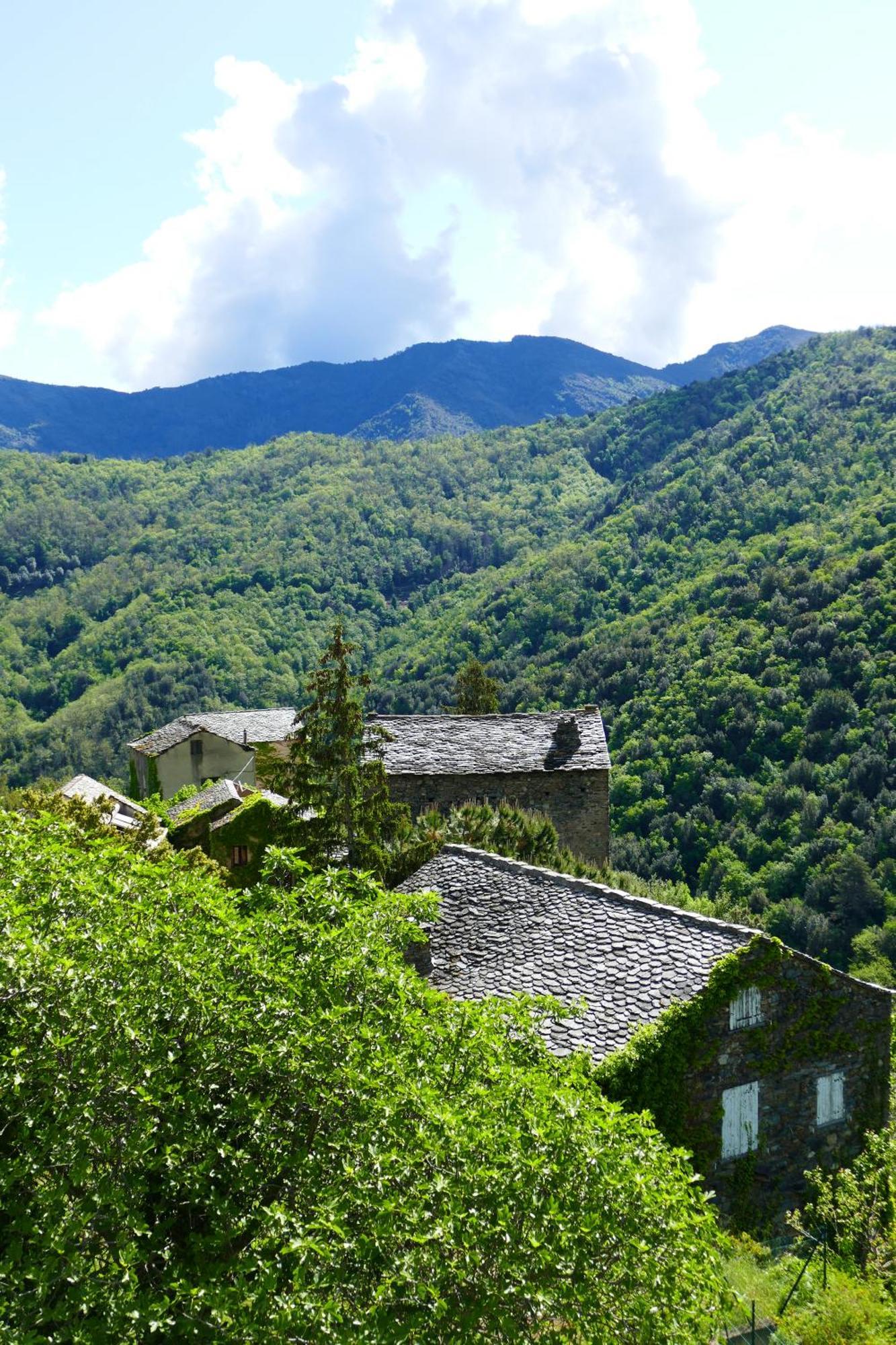 Casa Surgente Bed & Breakfast Carcheto Екстериор снимка